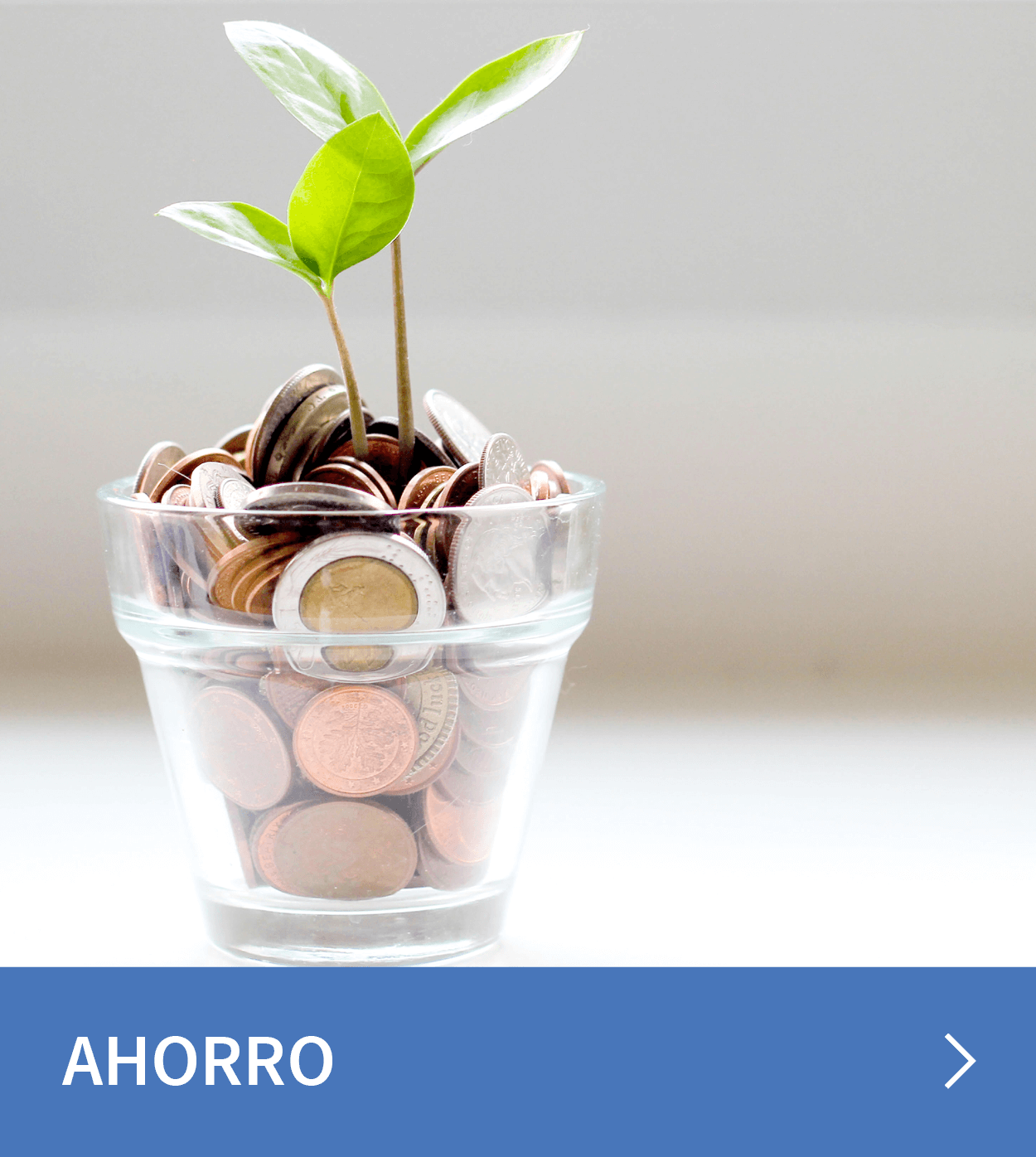 Seguros de Ahorro